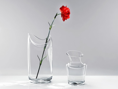  现代玻璃花瓶摆件 花艺摆件3d模型 