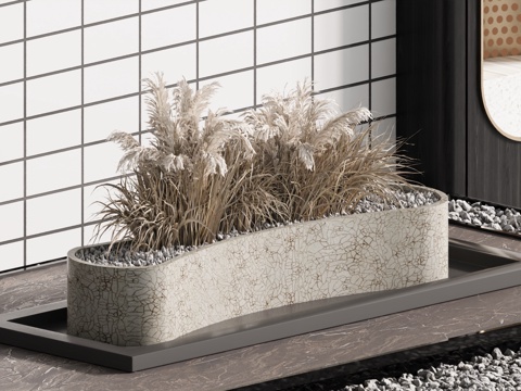  盆景 装饰盆景 盆栽3d模型 
