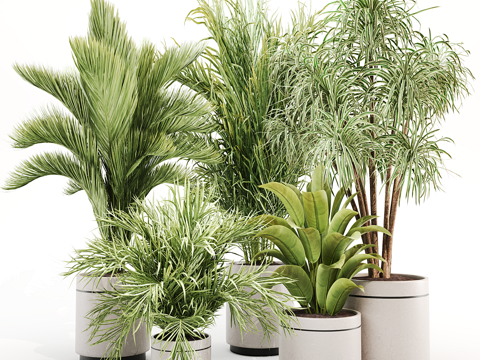  绿植盆栽3d模型 