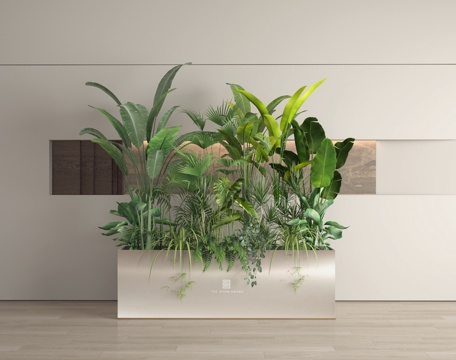  植物3d模型 