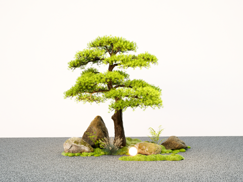  庭院景观树 造型树  罗汉松树木 微地形石头 庭院树su模型 