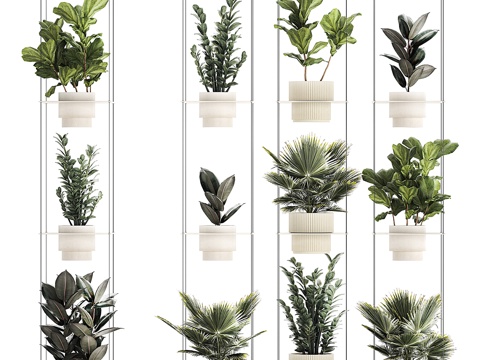  植物收藏 14293d模型 