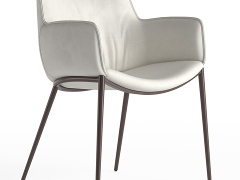  现代意式 Cattelan Italia Rhonda 椅子3d模型 