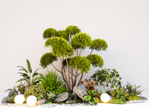  现代庭院植物组合 造型景观树 石头 灌木绿植su模型 