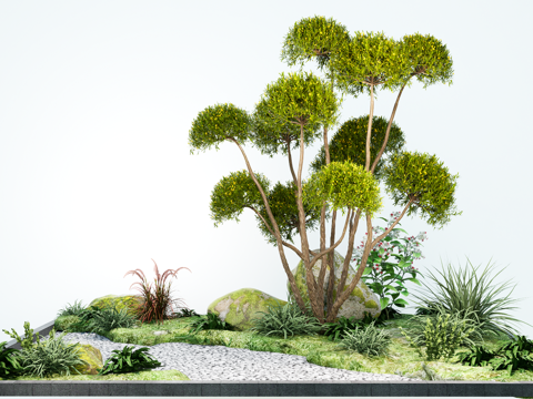  园林景观植物 多头造型树  庭院树  石头小品su模型 