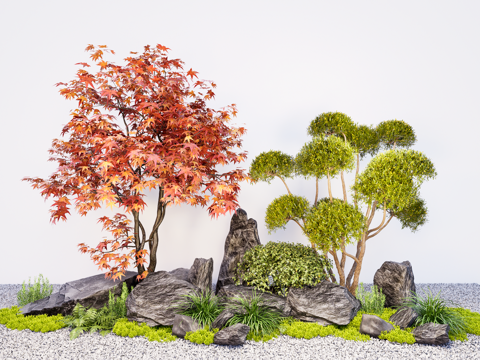  庭院植物组合  植物造景 多头造型树 枫树 创意石块石头su模型 