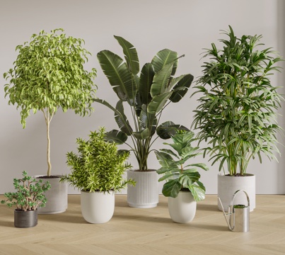  现代盆栽植物3d模型 