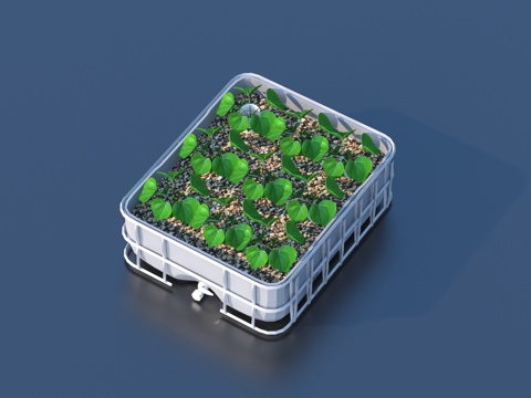  菜苖 盆栽 室内植物 绿植3d模型 