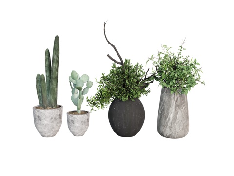  盆栽植物绿植  热点植物仙人掌su模型 