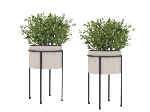  植物 盆栽树3d模型 