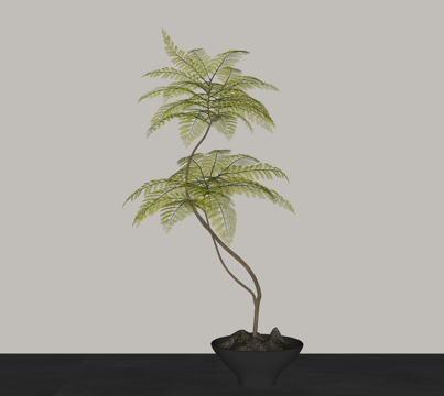  盆栽 绿植摆件su模型 