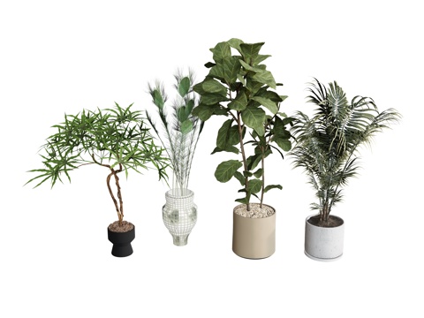  盆栽植物绿植   植物组合树木su模型 