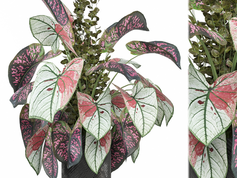  现代花瓶花艺3d模型 