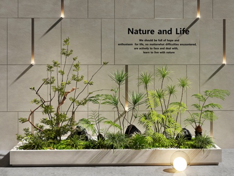 植物组合 植物堆 植物组合 花池花箱 庭院景观 室内景观su模型 