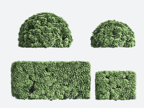  球形灌木 方形灌木3d模型 