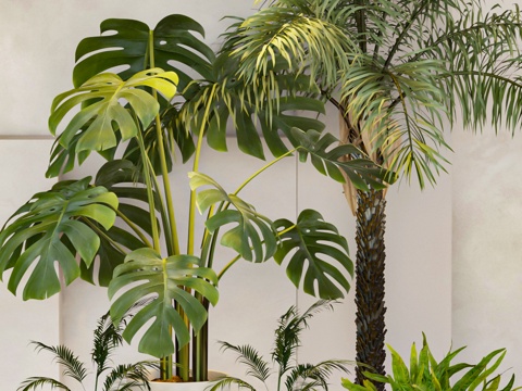  绿植 盆栽 植物su模型 