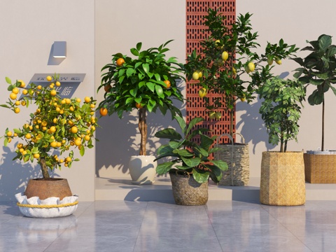  现代植物盆栽盆景3d模型 