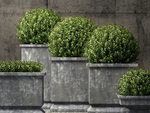  绿植盆栽3d模型 