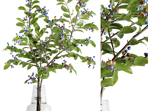  现代蓝莓花束 花瓶花艺3d模型 