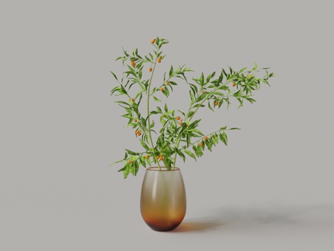  现代渐变玻璃花瓶无花果花瓶花3d模型 