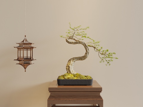  宋式盆景 新中式盆景 盆栽 绿植 植物 植物摆件3d模型 