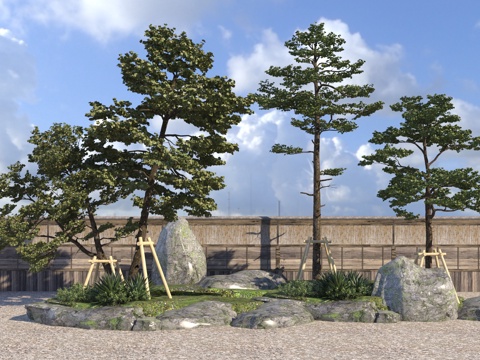 现代松树 黑松3d模型 