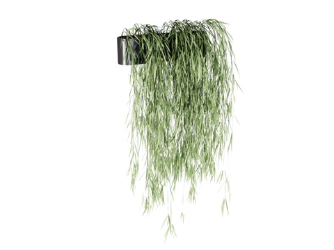  盆栽植物吊篮绿植su模型 