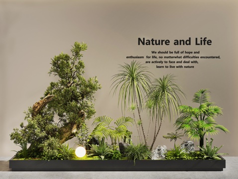  植物堆 植物景观 植物组合 庭院景观 室内景观3d模型 