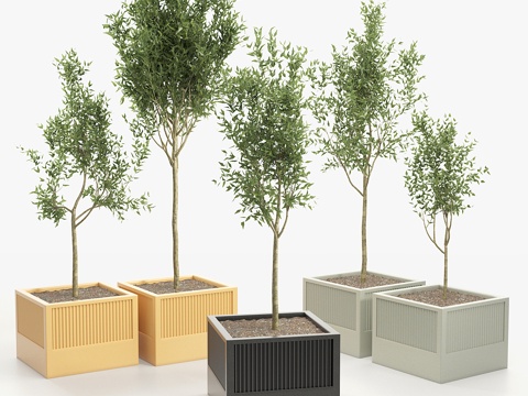  绿植盆栽3d模型 