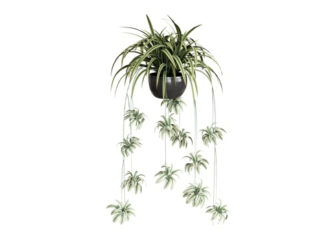  盆栽植物吊篮绿植su模型 