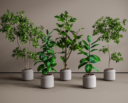  盆栽 盆景 绿植 植物3d模型 
