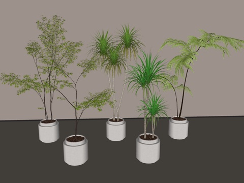  盆栽 盆景 绿植 植物su模型 