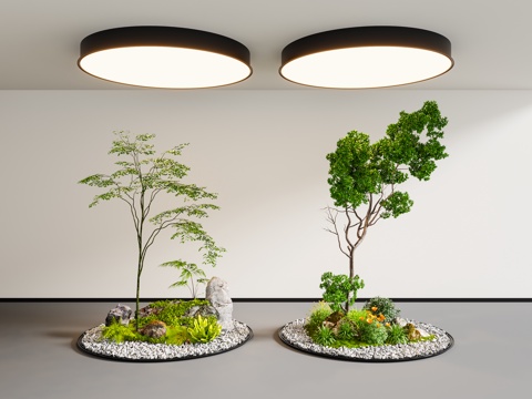  现代室内景观 植物造景 景观小品su模型 