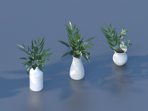  花盆 盆栽 绿植 植物3d模型 