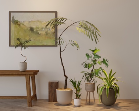 现代植物盆栽组合su模型 