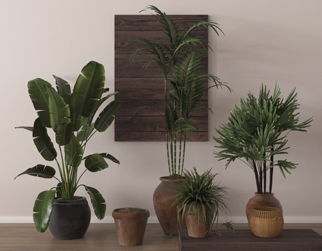  盆栽 盆景 绿植su模型 
