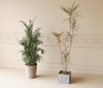  现代盆栽盆景 植物绿植3d模型 