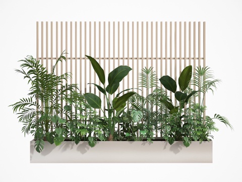  植物组合3d模型 