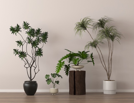  盆栽 盆景 绿植 植物 花几3d模型 