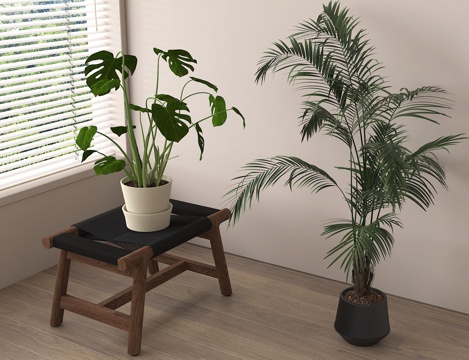  盆栽 盆景 绿植 植物3d模型 