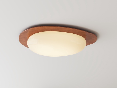  现代中古吸顶灯su模型 