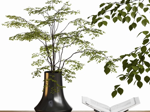  现代花瓶绿植摆件盆栽3d模型 
