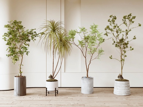  现代绿植盆栽盆景3d模型 