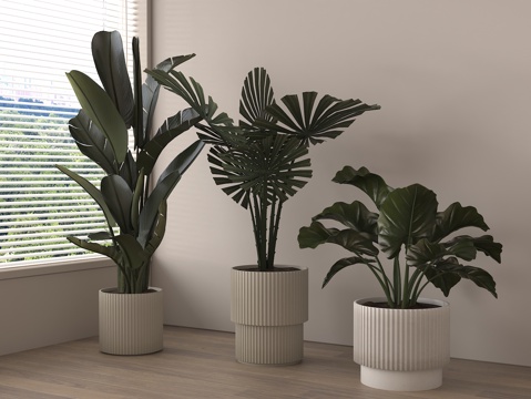  盆栽 盆景 绿植 植物3d模型 