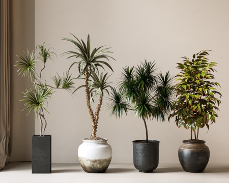  现代中古风盆栽 绿植 竹子盆栽 落地植物 盆景3d模型 
