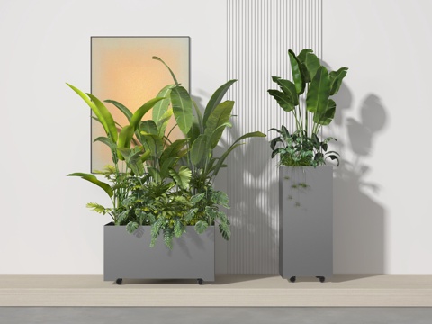  盆栽3d模型 