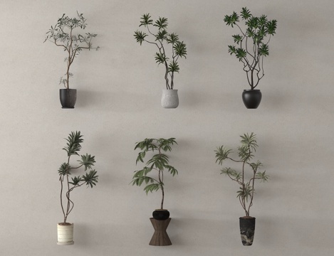  盆栽 盆景 绿植 植物3d模型 