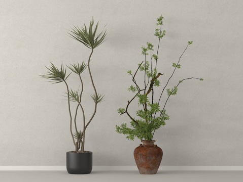  盆栽 盆景 绿植 植物3d模型 