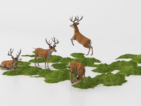  苔藓造景 植物堆 微地形 小山丘 梅花鹿3d模型 