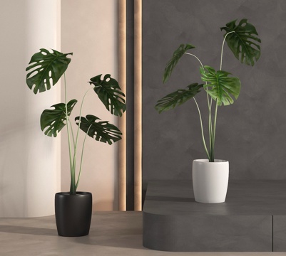  盆栽 盆景 绿植 植物3d模型 